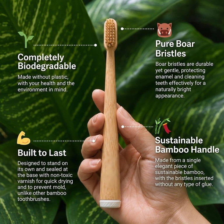 Natural boar-bristle toothbrush details