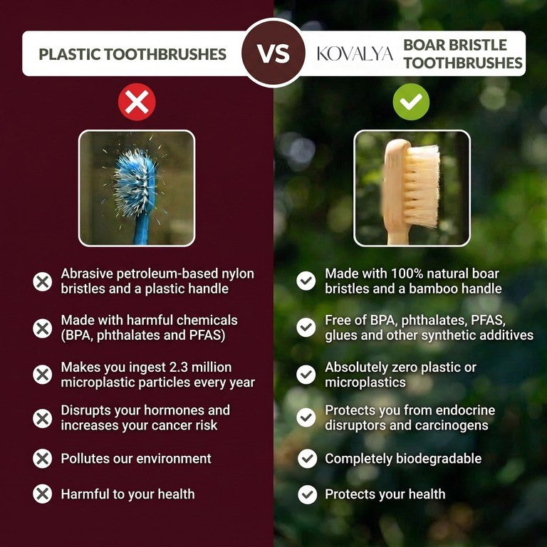 Natural and plastic toothbrush comparison