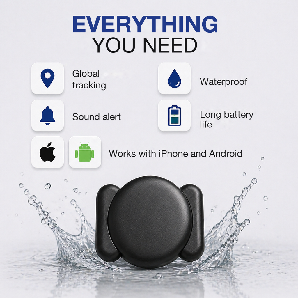 Everything you need