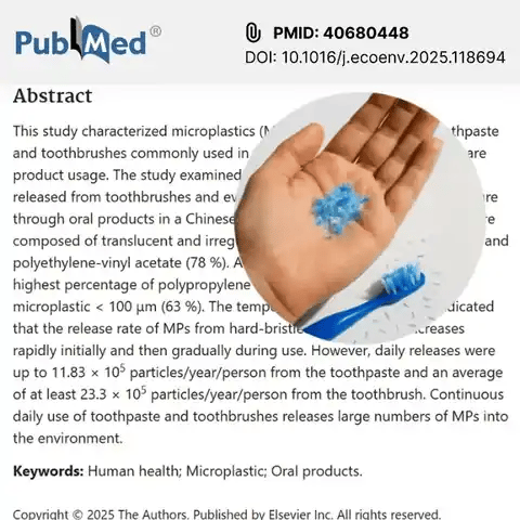 A closer look at conventional toothbrush bristles